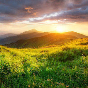 Meet your Posher, Rahma